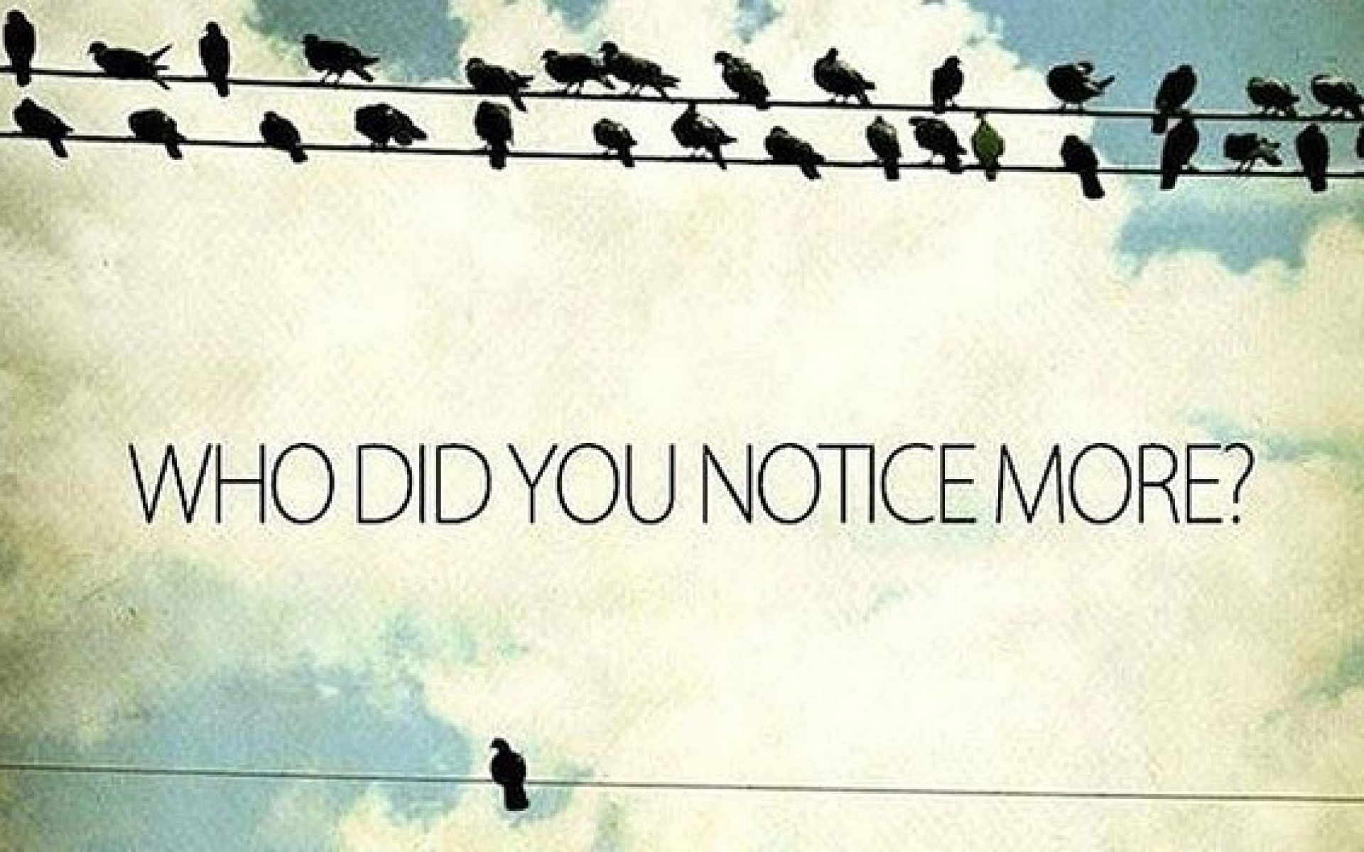 Birds-cropped